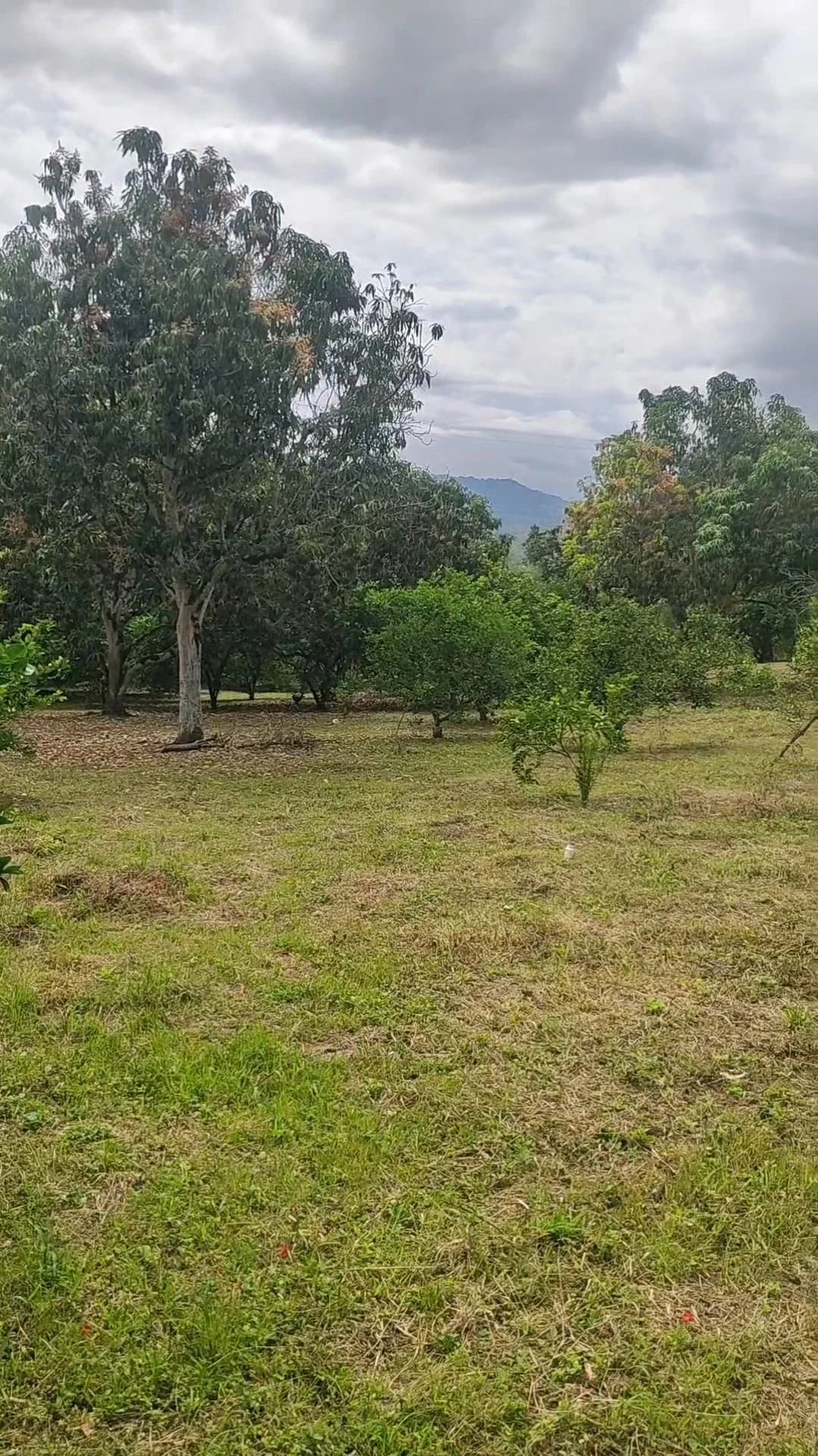 VENDO lote rural vereda santa Ana