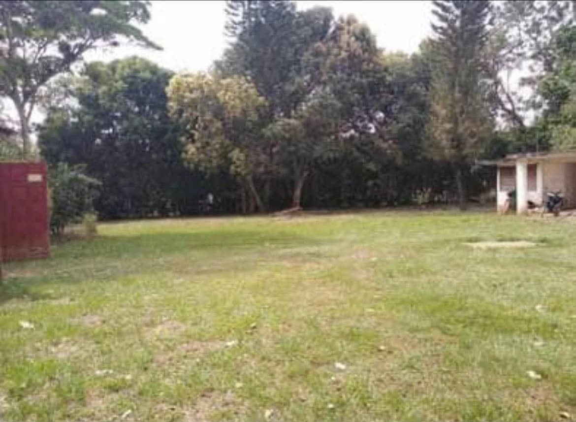 lote 4100m2