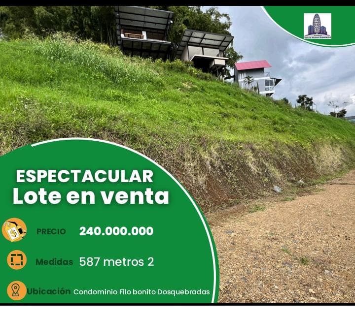 Lote