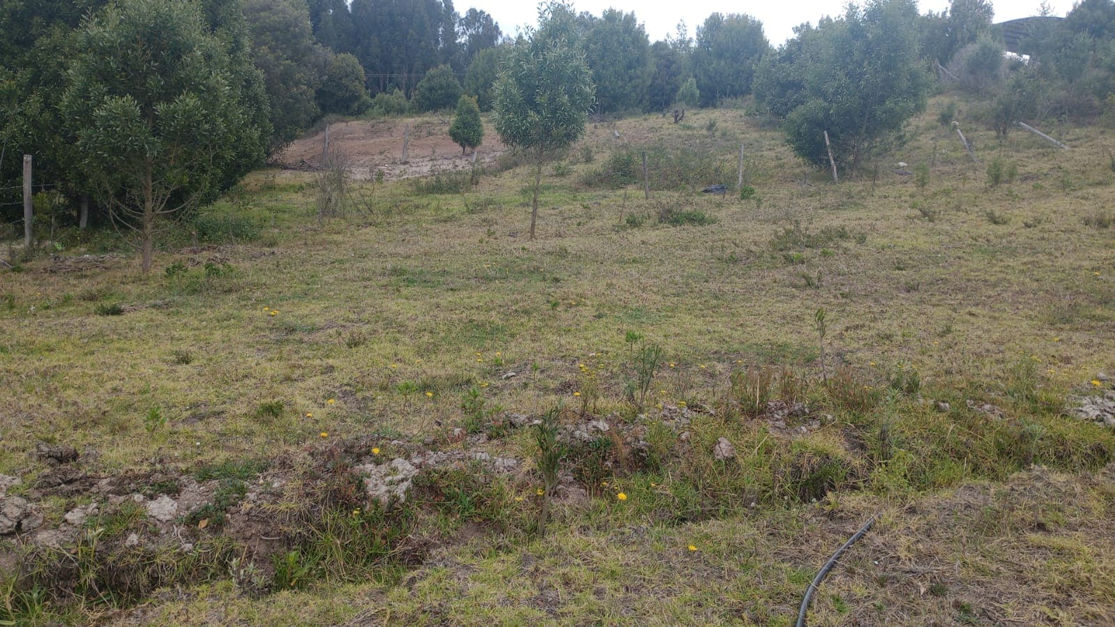 Lote urbano oicata 500mts2